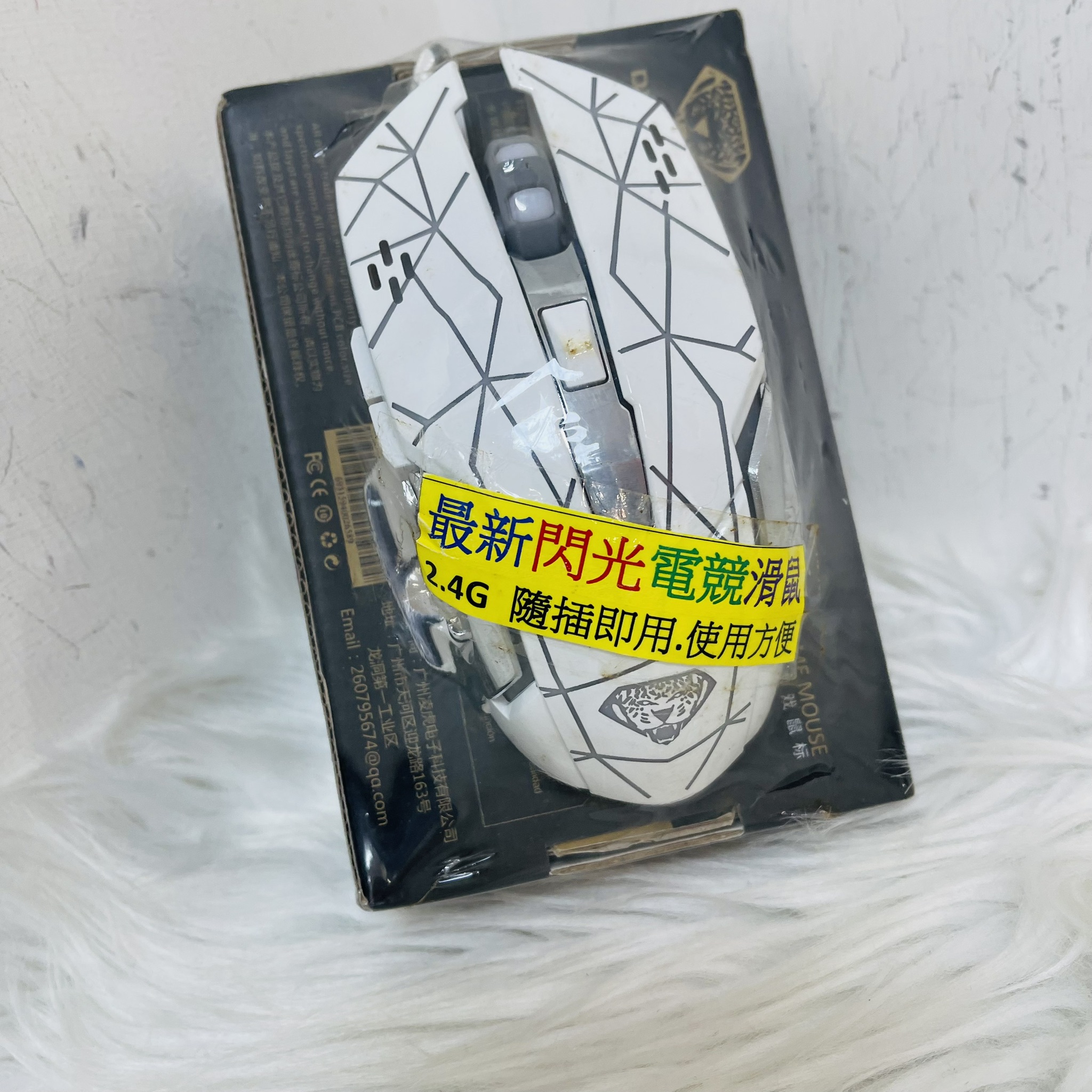 圖片載入錯誤