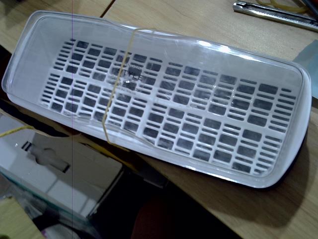 圖片載入錯誤