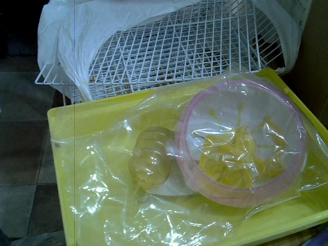 圖片載入錯誤