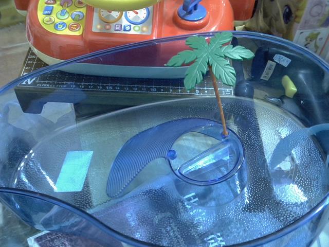 圖片載入錯誤