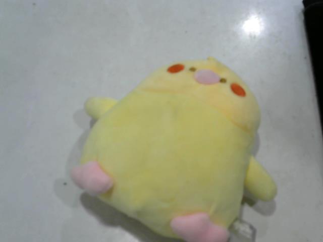 圖片載入錯誤