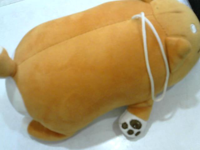 圖片載入錯誤