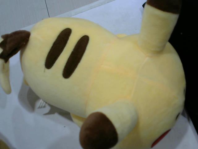 圖片載入錯誤